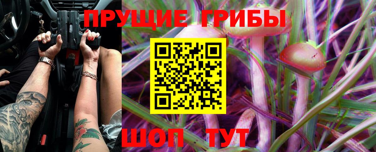 Галлюциногенные грибы Psilocybine cubensis  Вход с VPN  Галлюциногенные грибы ЛСД  Гагарин 
